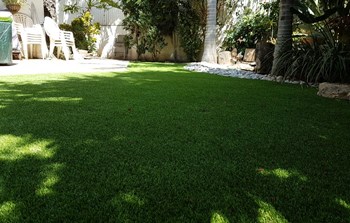 2508201615280111.jpeg