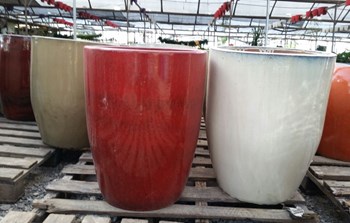 2203201510145933.jpg